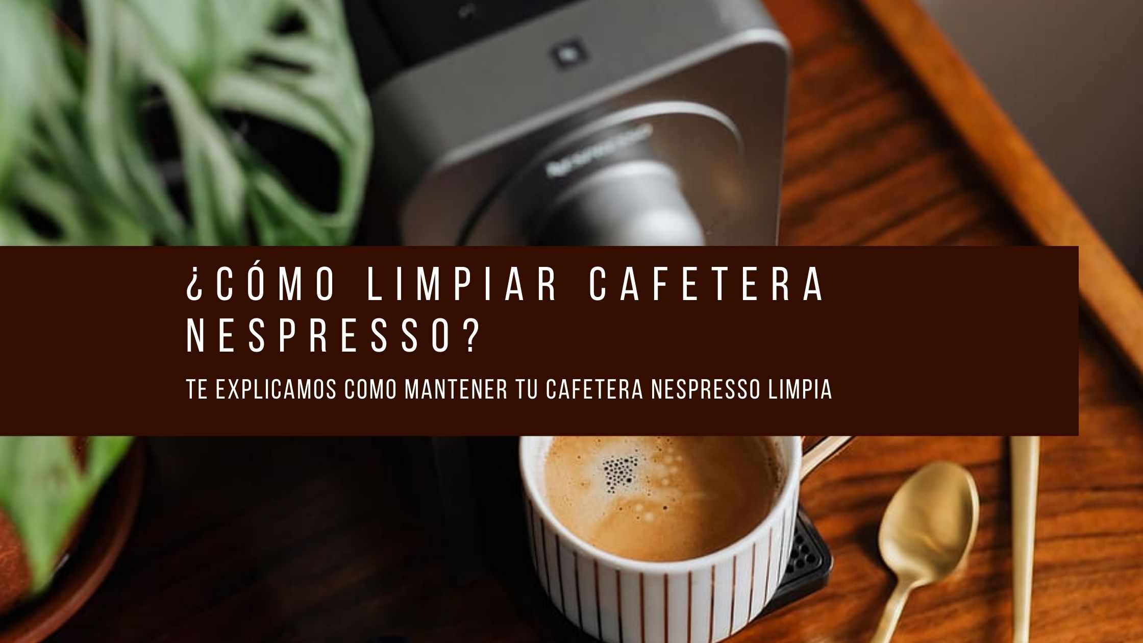 vakuum Ungdom Anoi Cómo limpiar la cafetera Nespresso | La tienda del café